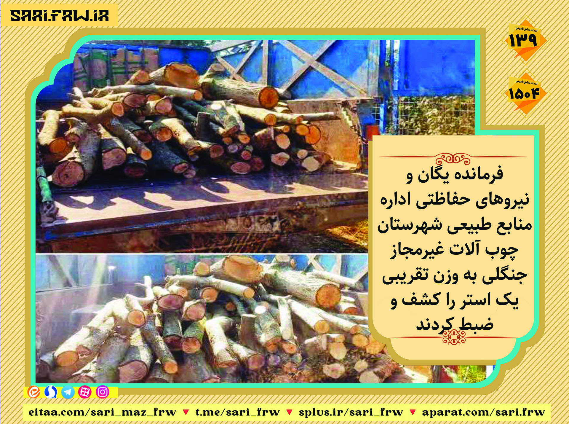 چوب قاچاق در یارد کارخانه صنایع سلولزی شهرستان ساری کشف و ضبط شد 